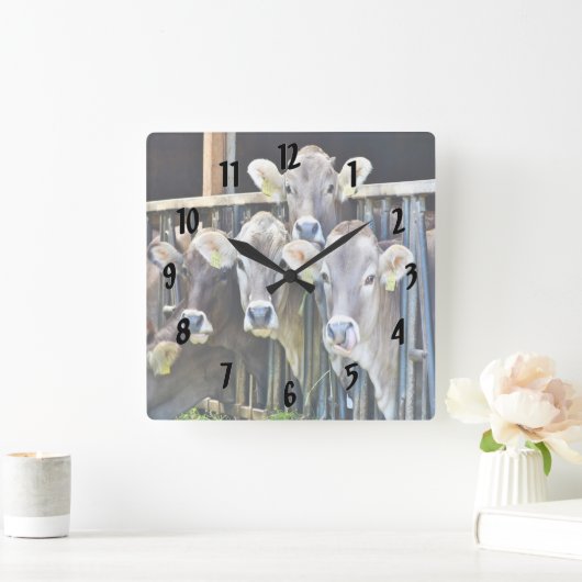 Ab Kühen Quadratische Wanduhr (Zuhause)