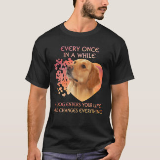 Ab und zu kommt ein goldener Retriever in dich T-Shirt