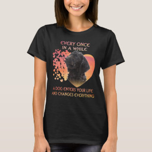 Ab und zu kommt ein Labradoodrom in den Lif T-Shirt