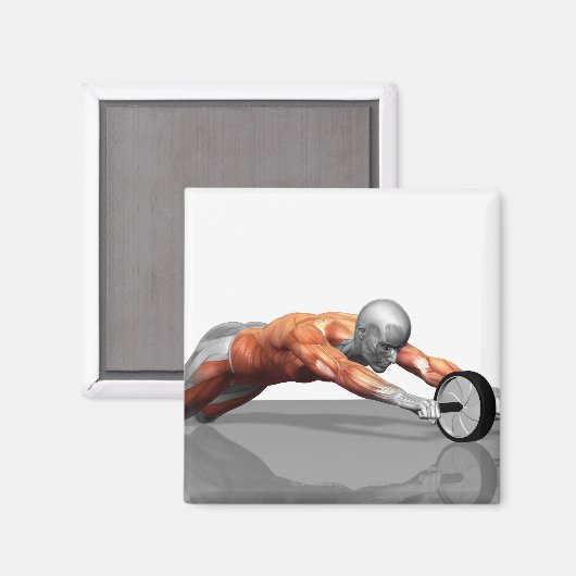 Ab Wheel Magnet (Vorderseite/Rückseite)