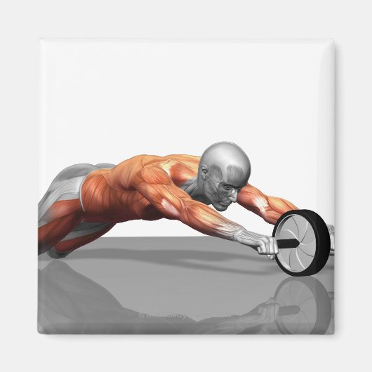 Ab Wheel Magnet (Vorne)