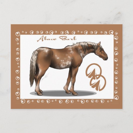 Abaco Barb Postkarte (Vorderseite)