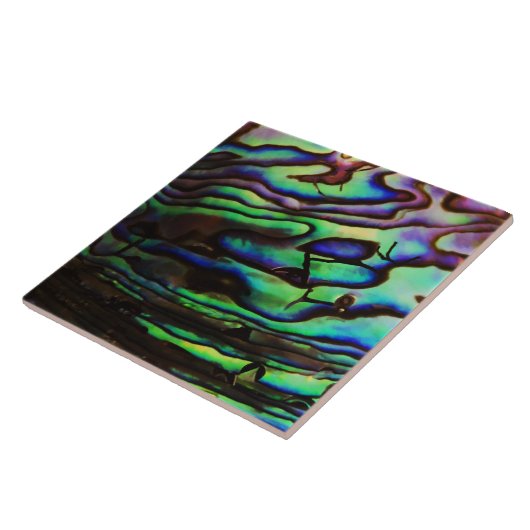 ABALON FLIESE (Seite)