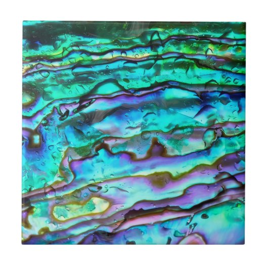 Abalone-Keramikfliese Fliese (Vorderseite)