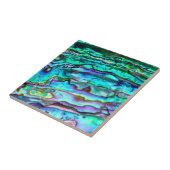 Abalone-Keramikfliese Fliese (Seite)