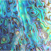 Abalone-Muschel Aufkleber (Vorderseite)