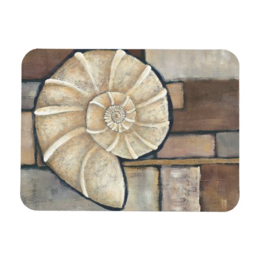 Abalone-Muschel Magnet (Horizontal)