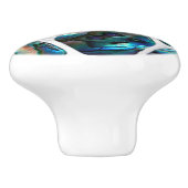 Abalone-Muschel Textur - Zellen Collage N1 Keramikknauf (Seitenansicht)