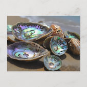 Abalone-Muscheln am Strand Postkarte (Vorderseite)