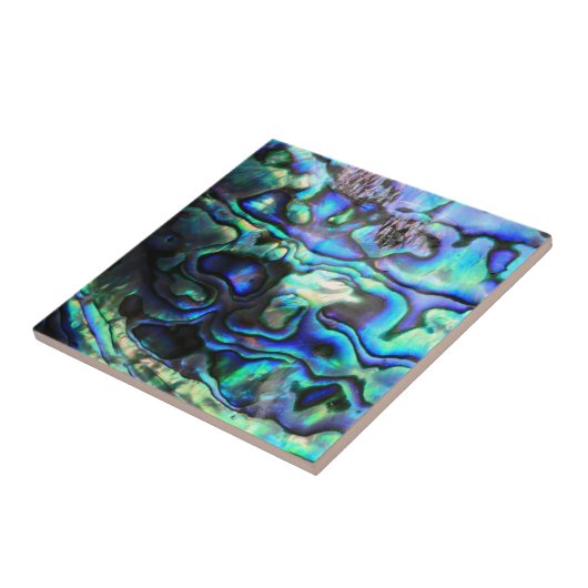 Abalone paua Muschel Fliese (Seite)