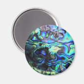 Abalone paua Muschel Magnet (Vorderseite/Rückseite)