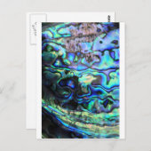 Abalone paua Muschel Postkarte (Vorne/Hinten)
