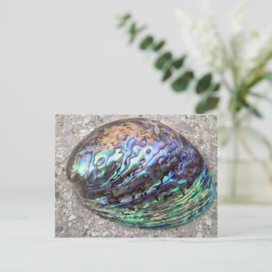 Abalone Postkarte (Stehend Vorderseite)