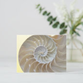 Abalone Postkarte (Stehend Vorderseite)