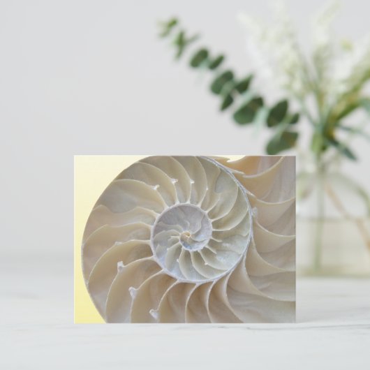 Abalone Postkarte (Stehend Vorderseite)