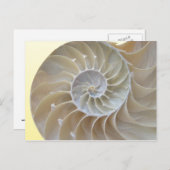 Abalone Postkarte (Vorne/Hinten)