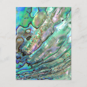 Abalone Postkarte