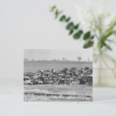 Abandoned Automobiles, 1935 Postkarte (Stehend Vorderseite)