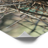 Abandoned Bird Nest Poster (Ecke)