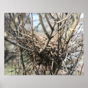 Abandoned Bird Nest Poster