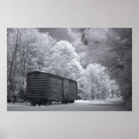 Abandoned Box Car Poster (Vorne)