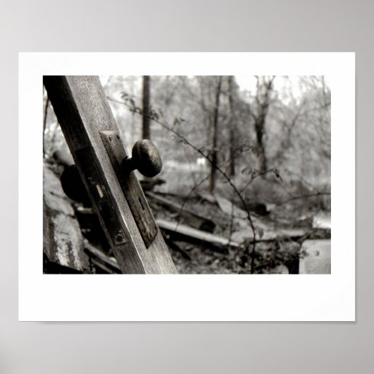 Abandoned Door in the Woods Poster (Vorne)