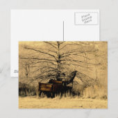 Abandoned Dump Truck Postkarte (Vorne/Hinten)