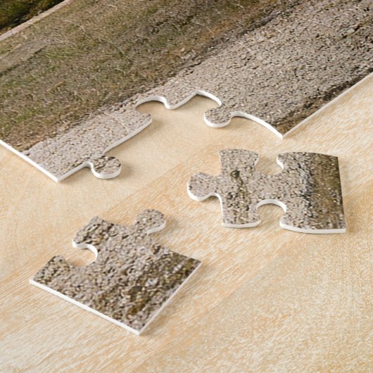 Abandoned Fantasy French Chateau Puzzle (Seite)