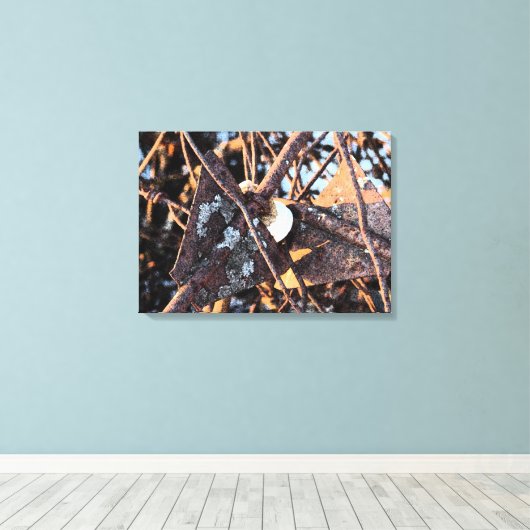 Abandoned Fencing Leinwanddruck (Insitu (Holzboden))