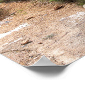 Abandoned Gold Mine Poster (Ecke)