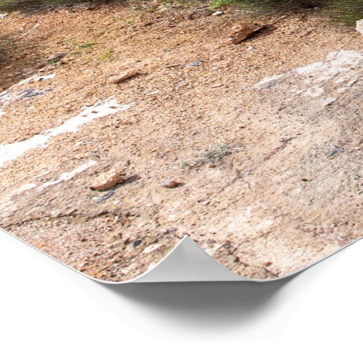 Abandoned Gold Mine Poster (Ecke)