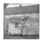 Abandoned House Bird Music Edit Fliese (Vorderseite)