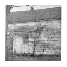 Abandoned House Bird Music Edit Fliese