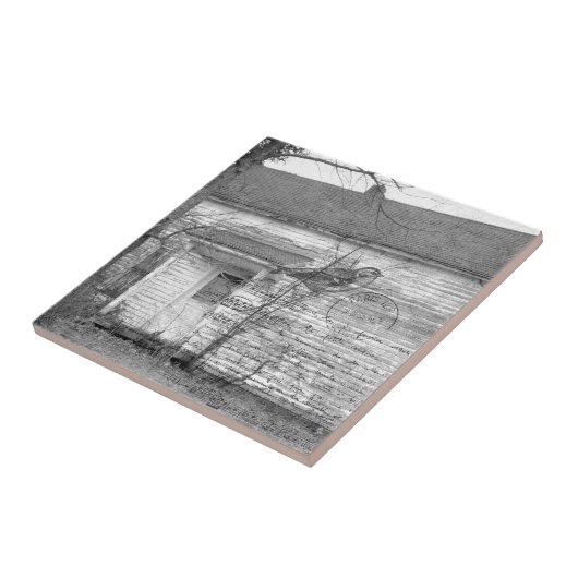 Abandoned House Bird Music Edit Fliese (Seite)