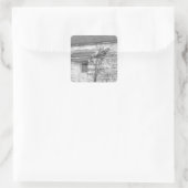 Abandoned House Bird Music Edit Quadratischer Aufkleber (Tasche)