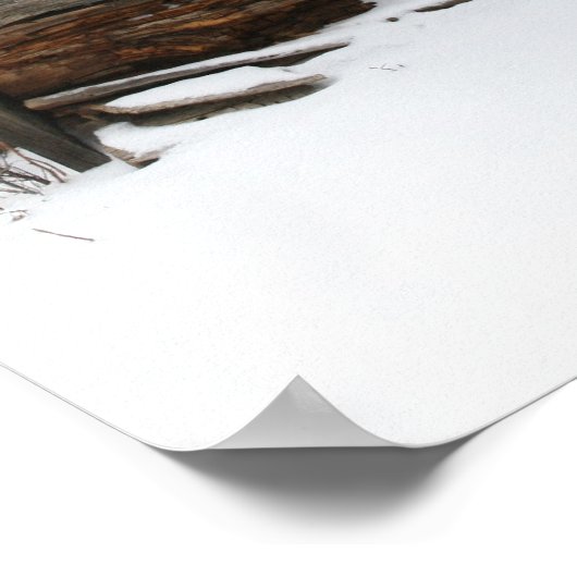 Abandoned Log Cabin Colorado Poster (Ecke)