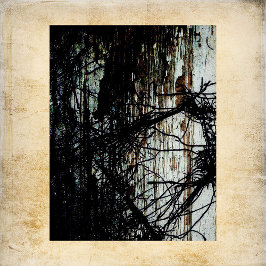 Abandoned Mansion Scrapbook Paper