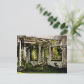 Abandoned motel old Florida Postkarte (Stehend Vorderseite)