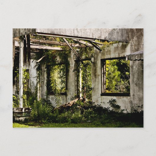 Abandoned motel old Florida Postkarte (Vorderseite)