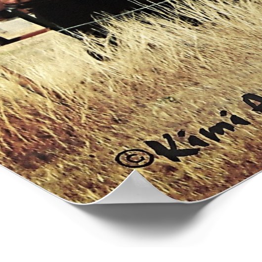 Abandoned Poster (Ecke)