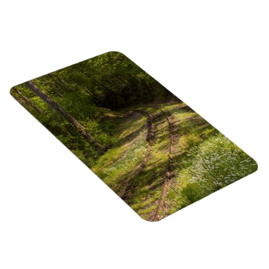 Abandoned Railroad In A Forest Magnet (Rechte Seite)