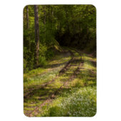 Abandoned Railroad In A Forest Magnet (Vertikal)