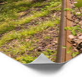 Abandoned Railroad In A Forest Poster (Ecke)