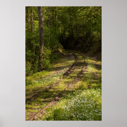 Abandoned Railroad In A Forest Poster (Vorne)