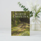 Abandoned Railroad In A Forest Postkarte (Stehend Vorderseite)