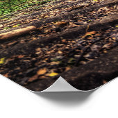 Abandoned Railway Tracks HDR. Poster (Ecke)