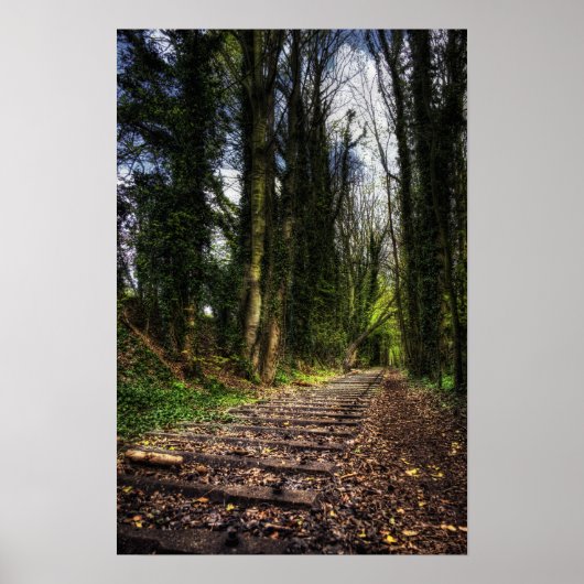 Abandoned Railway Tracks HDR. Poster (Vorne)