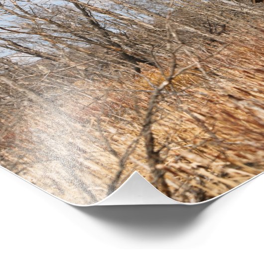 Abandoned Saskatchewan Fotodruck (Ecke)