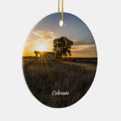 Abandoned Shed Colorado Sunset Circle Ornament (Rechts)