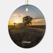 Abandoned Shed Colorado Sunset Circle Ornament (Links)
